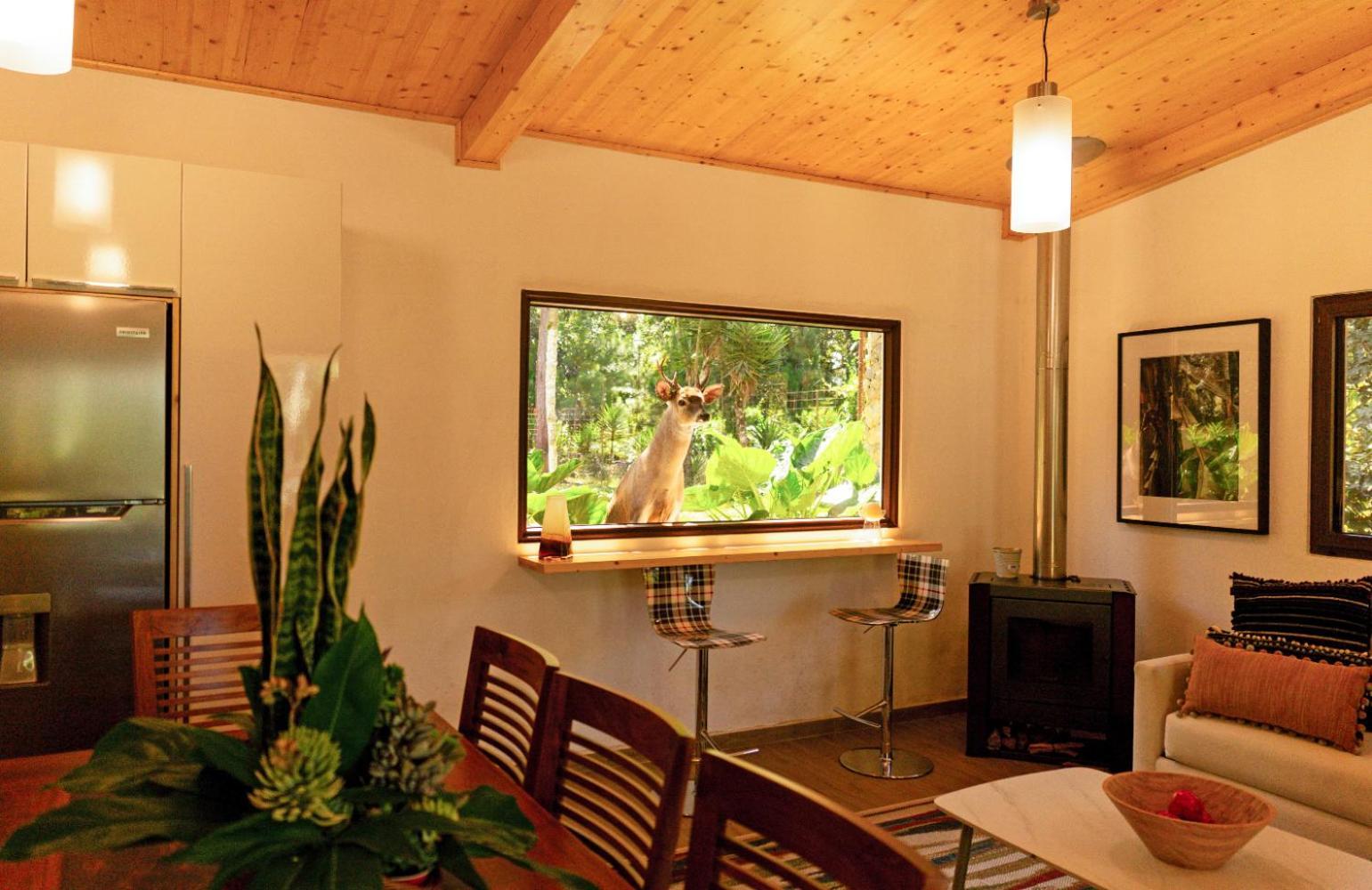 Hotel Boutique Y Restaurante Paniste Santa Cruz Verapaz Εξωτερικό φωτογραφία